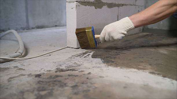 24/7 Emergency Crawl Space Encapsulation experts in Cottontown, TN